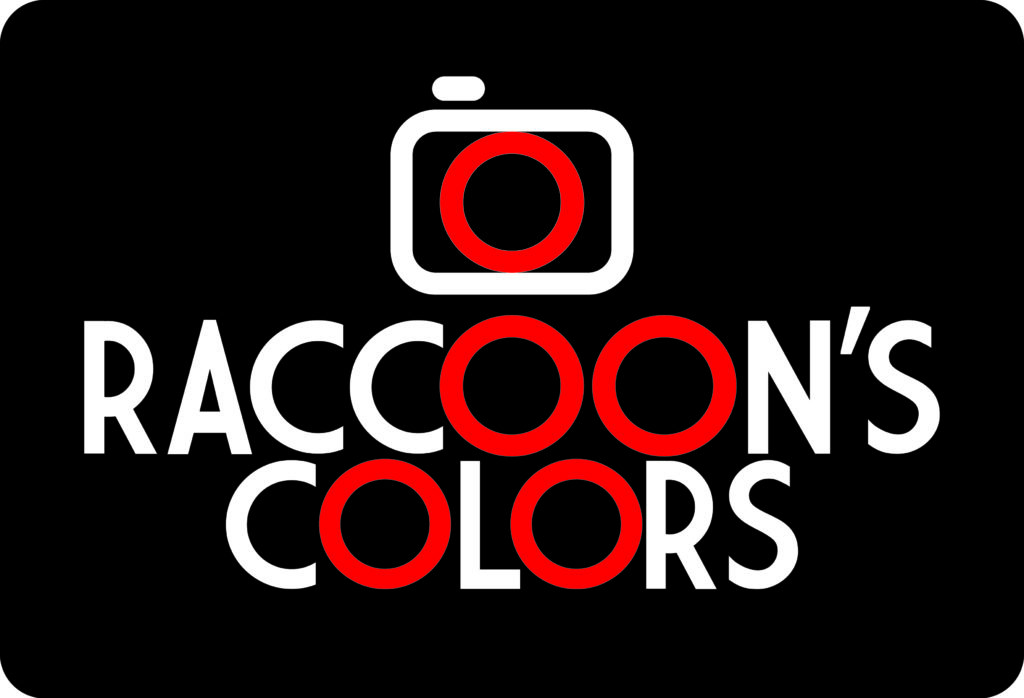 Logo Racoon's Colors 27