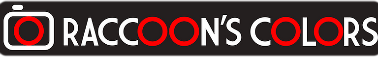 Logo Raccoon's Colors